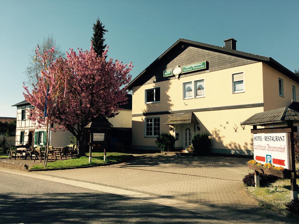 Landhaus-Brunnenhof Olzheim ภายนอก รูปภาพ
